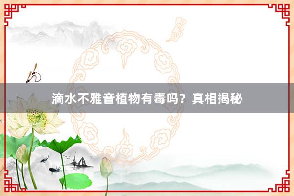 滴水不雅音植物有毒吗？真相揭秘