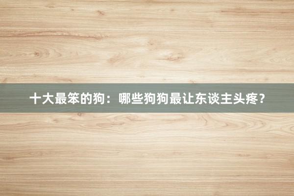 十大最笨的狗:哪些狗狗最让东谈主头疼?