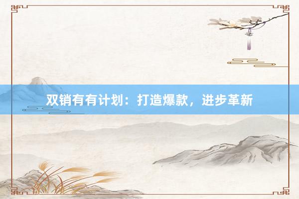 双销有有计划:打造爆款,进步革新